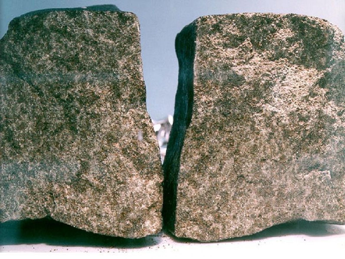 A conspicuous biomorphic ovoid structure in the Nakhla martian meteorite with implications for astrobiology